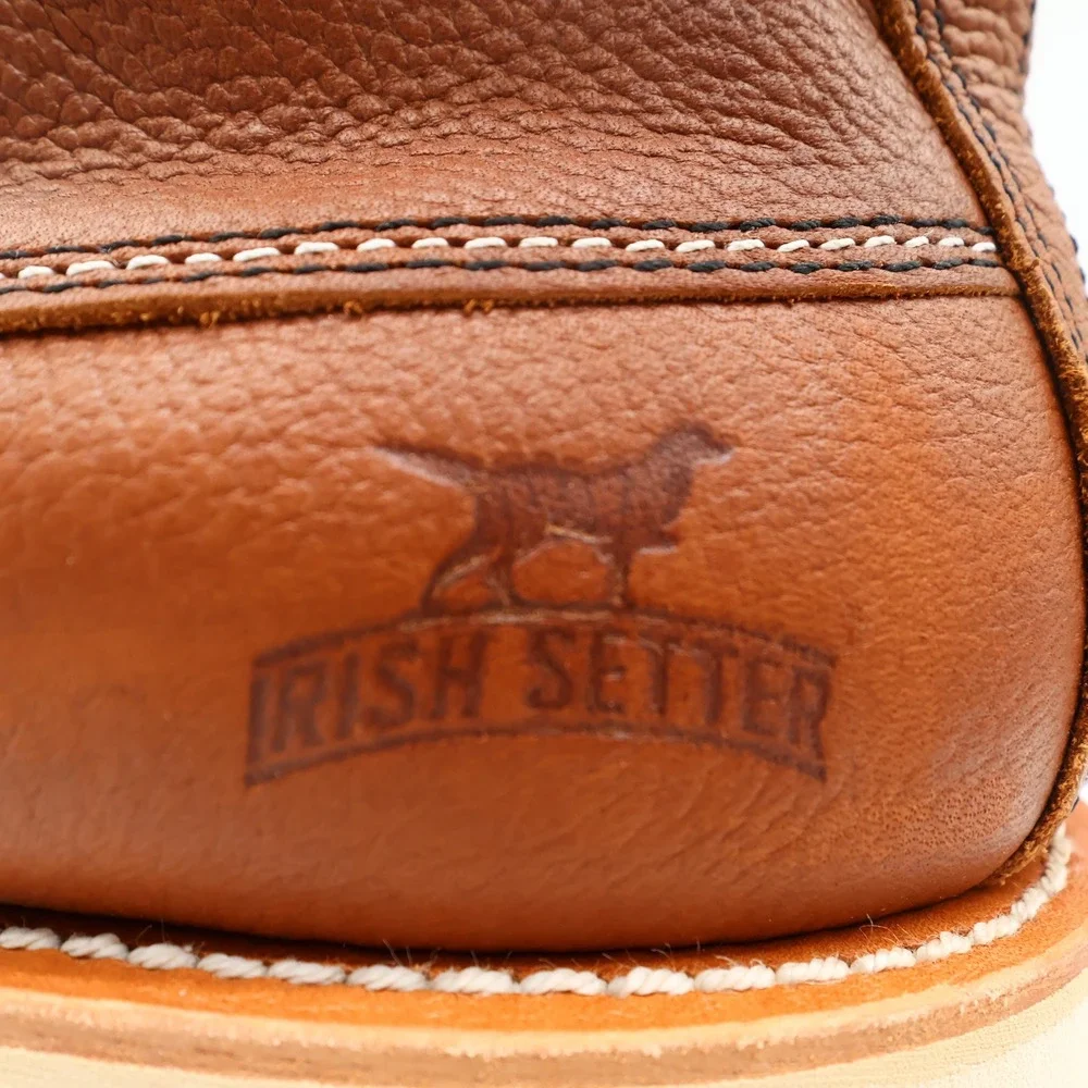 Irish Setter irish setter